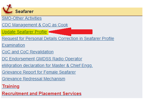 Update Seafarer Profile